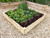 square timber raised vegetable planter