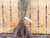 Common hawthorn bare root photo