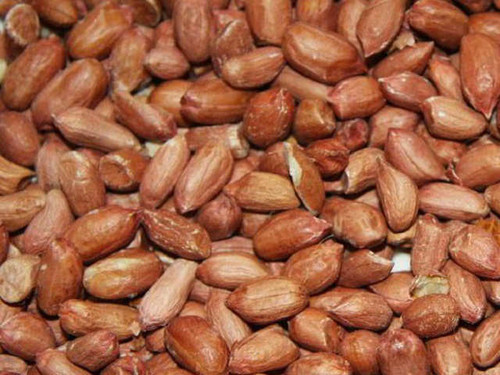 Raw runner peanuts for bird feeders and tables